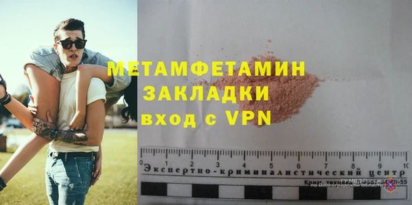 гидра Козловка