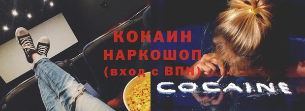 гидра Козловка