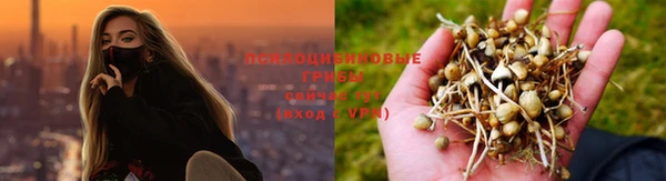 кокаин колумбия Козельск