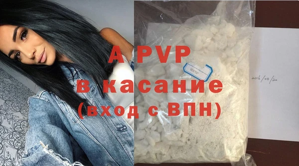 гидра Козловка