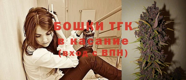гидра Козловка