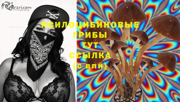 кокаин колумбия Козельск