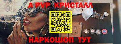 эйфоретик Кингисепп