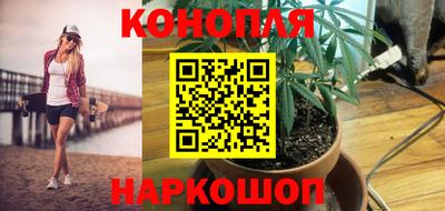 прущие грибы Кимры