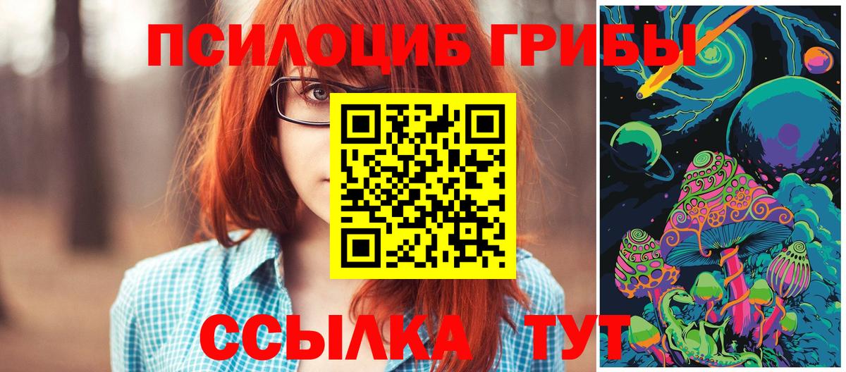 Галлюциногенные грибы GOLDEN TEACHER  Псилоцибиновые грибы MAGIC MUSHROOMS  Вход с VPN  Арзамас 